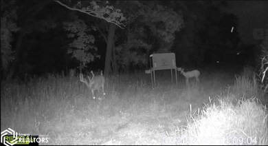 185th St, Trenton, IA 52641 - photo 6