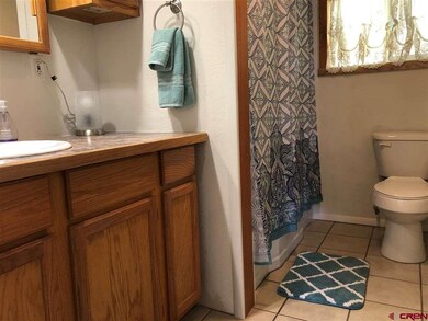 285 SW 3rd St, Cedaredge, CO 81413 - photo 7