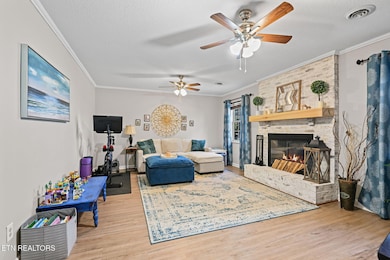 1120 Buxton Dr, Knoxville, TN 37922 - photo 7