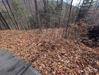 Lot 83 Garnet Rd, Sylva, NC 28779 - photo 7