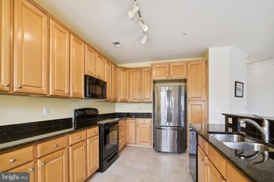 1507 Broadneck Place unit 201, Annapolis, MD 21409 - photo 4