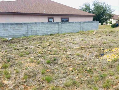 609 Waxwing Cedar Dr, Laredo, TX 78045 - photo 4