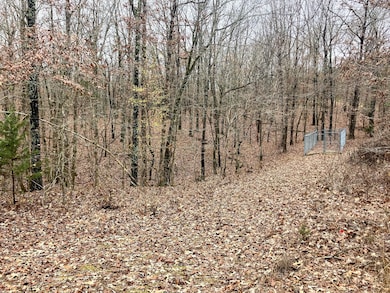 Tbd Us Highway 160, Tecumseh, MO 65760 - photo 3