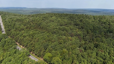 169378 Indian Hwy, Kiamichi Christian Mission, OK 74549 - photo 2