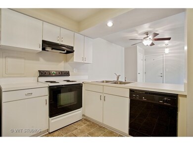 4506 Kings Walk Dr unit 2A, Rolling Meadows, IL 60008 - photo 5