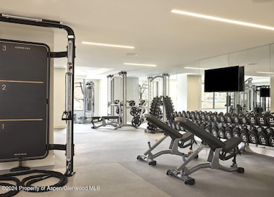 221 Wood Rd unit 409, Aspen, CO 81611 - photo 7