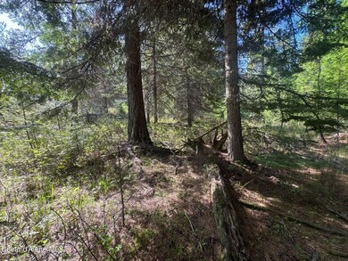 71cfc2ff-5bfd-4d31-842c-af35ae048e8c