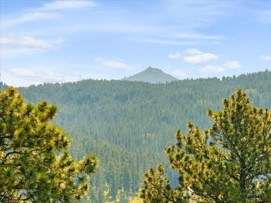 Lot 9 Other unit Meadow Wood Way, Lead, SD 57754 - photo 2