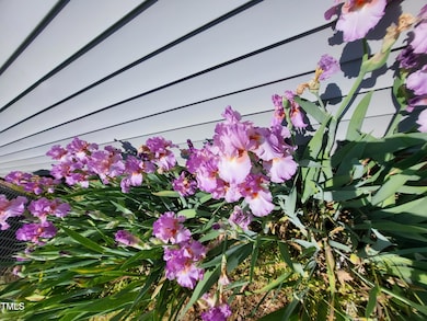 Irises