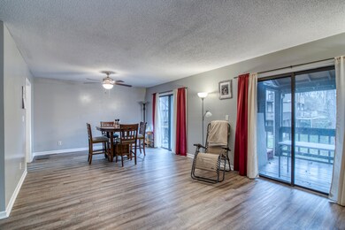 24204-Woodridge-Circle-Bristol-VA Molly-