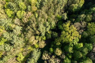 0 Township Road 3292, Hanover Township, OH 44842 - photo 3