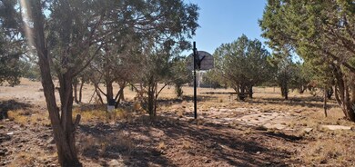 2237 N Luana Dr, Williams, AZ 86046 - photo 3