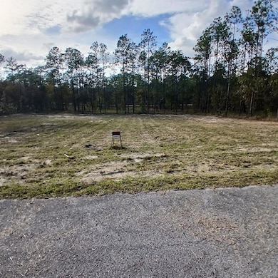 0 Narcissus Rd, Dunnellon, FL 34431 - photo 3