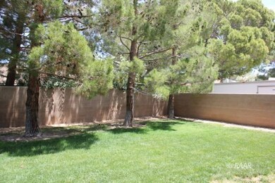Parklike backyard