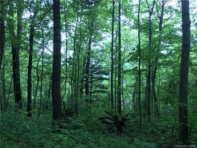 Potential for nice southern views