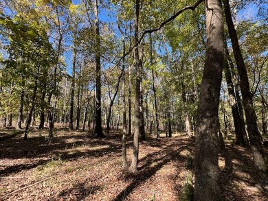 196 Deer Valley Cir, Broken Bow, OK 74278 - photo 4