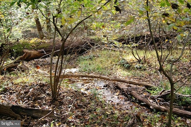 4430 Camelot Dr, Pomfret, MD 20675 - photo 5