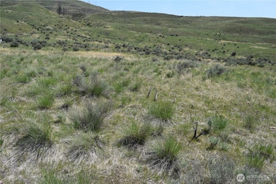 6 Blue Grade Rd, East Wenatchee, WA 98802 - photo 4