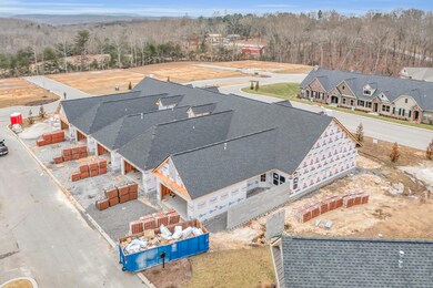 DJI_0290