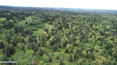 14449 Murry St, Ninilchik, AK 99639 - photo 7