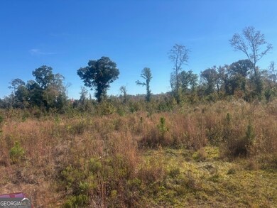 (TRACT 7) Jd Williams Rd, Cadwell, GA 31009 - photo 4