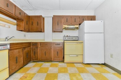 280 Harvard St unit 3B, Cambridge, MA 02139 - photo 5