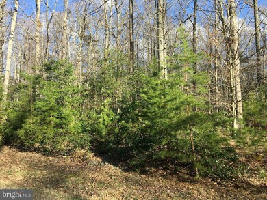 12791 Westside Rd, Manassas, VA 20112 - photo 2