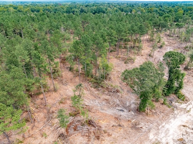 Leaf_River_Parcel_13-2