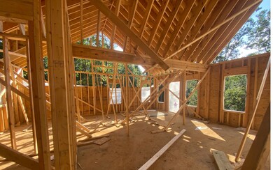 Additional View