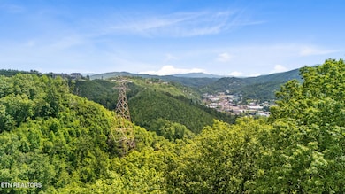 Lot 6 Ski Mtn Rd, Gatlinburg, TN 37738 - photo 4
