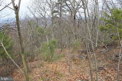 LOT 337 Nathaniel Mt Rd, Moorefield, WV 26836 - photo 5