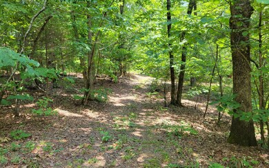 0 Hwy 411 unit 308551, Ranger, GA 30743 - photo 2