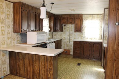 IMG_1175.JPG
