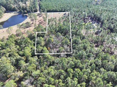 8311 N Coffee Rd, Hahira, GA - photo 7