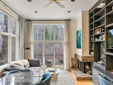 1050 Waters Ave unit 9, Aspen, CO 81611 - photo 3