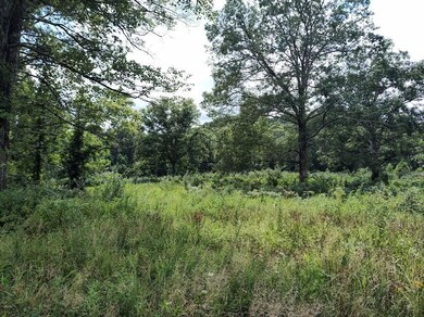 1150 Logan Hollow-Copperas Branch Rd, Morehead, KY 40351 - photo 6