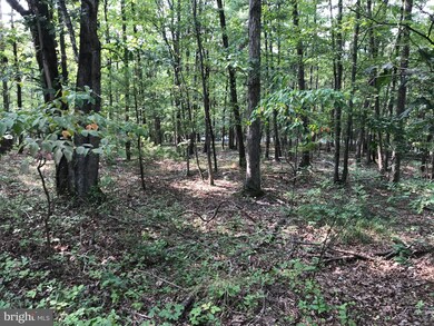 0 Williams Ln unit VASH120300, Basye, VA 22810 - photo 2