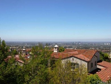 Ocean, City lights, Hills and Saddleback views for