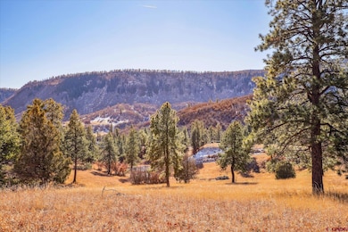 Parcel F Laughing Dog Ln, Durango, CO 81301 - photo 2