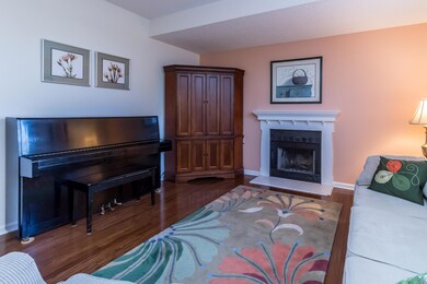Wood burning Fire place