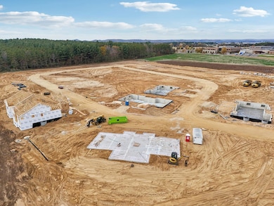 135 Goldenrod Way, Prairie Du Sac, WI 53578 - photo 5