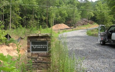 Additional View