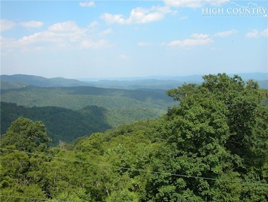 111 Acres - Blowing Rock Blvd, Blowing Rock, NC 28645 - photo 4