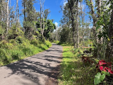 777 Iolani St, Pahoa, HI 96778 - photo 2