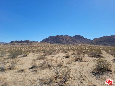 62745 Twentynine Palms Hwy, Joshua Tree, CA - photo 5
