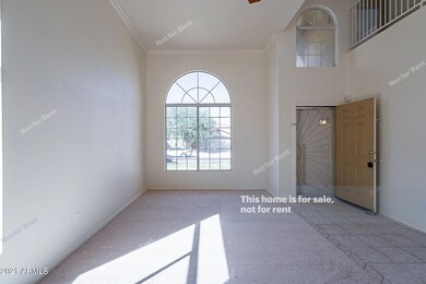 photo_12