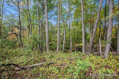 12923 Triple Oak Dr NE, Vergennes Township, MI 49331 - photo 6