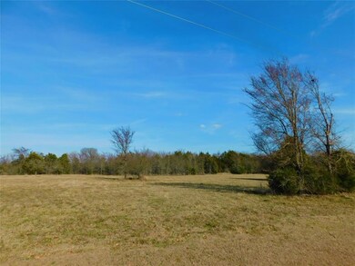 L 146 La Bota, Corsicana, TX 75109 - photo 2