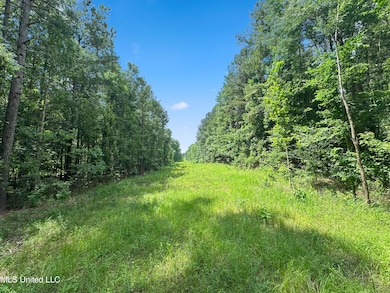 0 Antioch Shiloh Rd, Pelahatchie, MS 39145 - photo 2