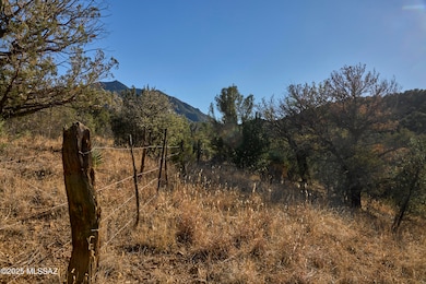 TBD Paradise Rd unit 10, Portal, AZ 85632 - photo 7